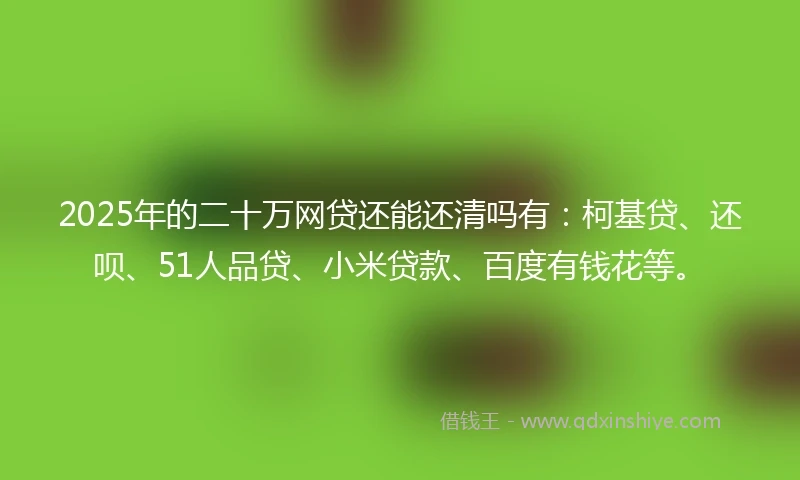 2025年的二十万网贷还能还清吗有：柯基贷、还呗、51人品贷、小米贷款、百度有钱花等。