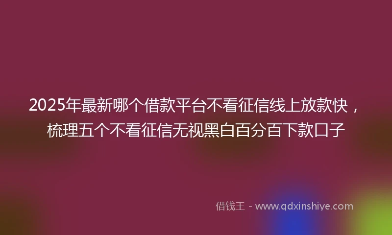 2025年最新哪个借款平台不看征信线上放款快，梳理五个不看征信无视黑白百分百下款口子