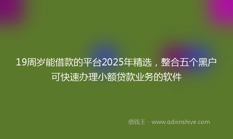 19周岁能借款的平台2025年精选，整合五个黑户可快速办理小额贷款业务的软件
