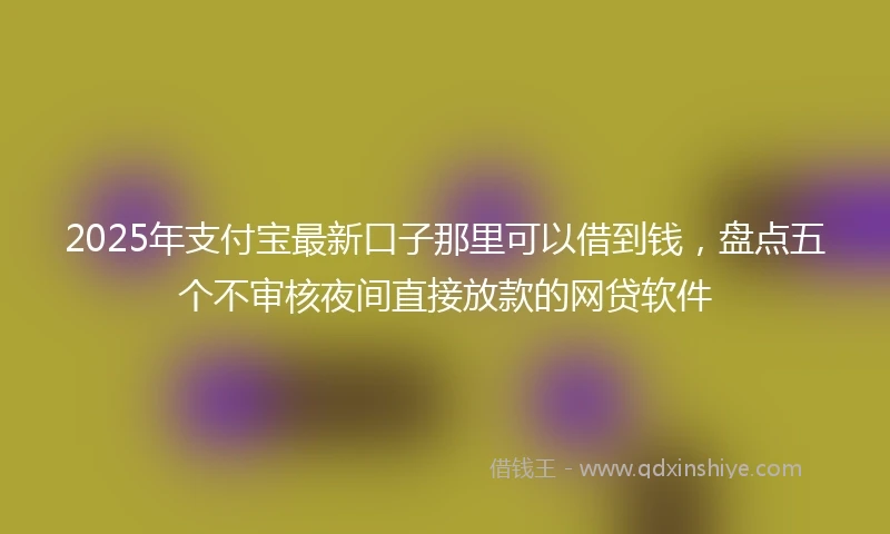 2025年支付宝最新口子那里可以借到钱，盘点五个不审核夜间直接放款的网贷软件