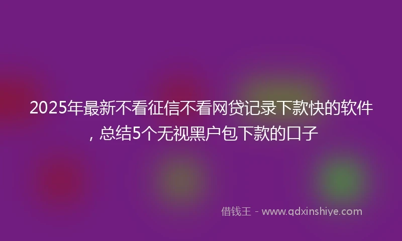 2025年最新不看征信不看网贷记录下款快的软件，总结5个无视黑户包下款的口子