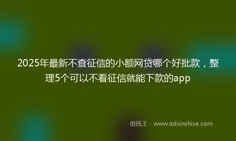 2025年最新不查征信的小额网贷哪个好批款，整理5个可以不看征信就能下款的app