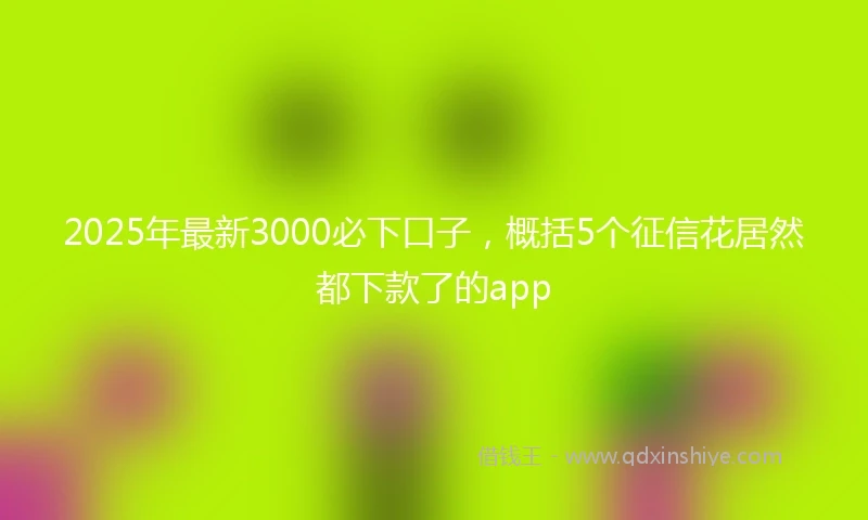 2025年最新3000必下口子，概括5个征信花居然都下款了的app