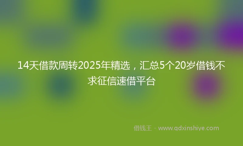 14天借款周转2025年精选，汇总5个20岁借钱不求征信速借平台