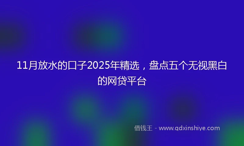 11月放水的口子2025年精选，盘点五个无视黑白的网贷平台