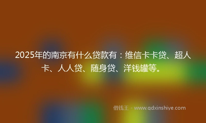 2025年的南京有什么贷款有：维信卡卡贷、超人卡、人人贷、随身贷、洋钱罐等。