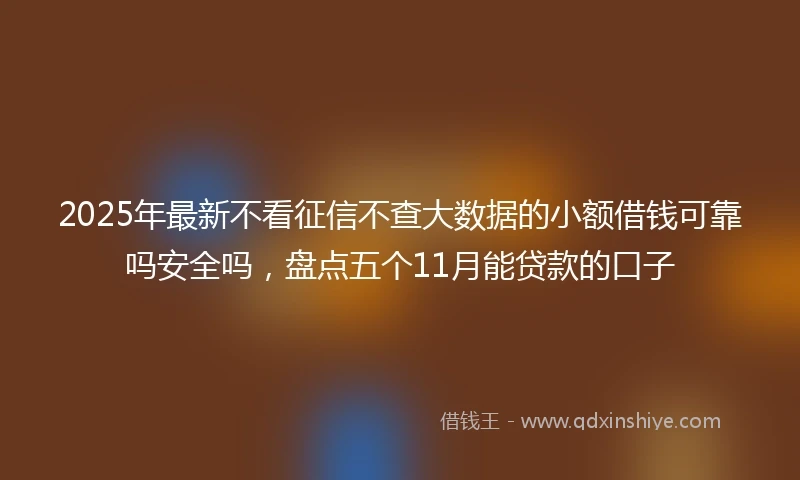 2025年最新不看征信不查大数据的小额借钱可靠吗安全吗，盘点五个11月能贷款的口子