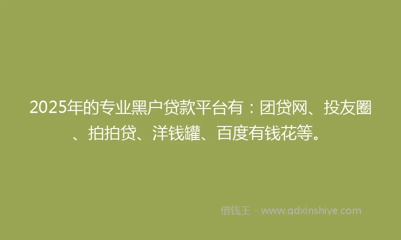 2025年的专业黑户贷款平台有：团贷网、投友圈、拍拍贷、洋钱罐、百度有钱花等。