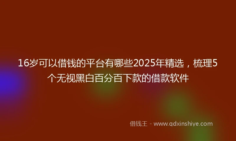 16岁可以借钱的平台有哪些2025年精选，梳理5个无视黑白百分百下款的借款软件