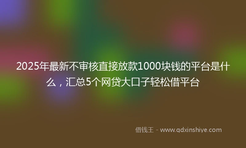 2025年最新不审核直接放款1000块钱的平台是什么，汇总5个网贷大口子轻松借平台