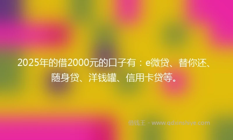 2025年的借2000元的口子有：e微贷、替你还、随身贷、洋钱罐、信用卡贷等。