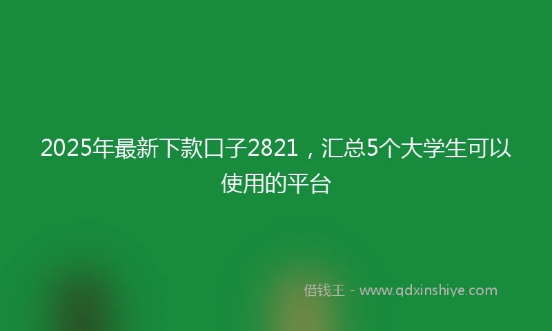 2025年最新下款口子2821，汇总5个大学生可以使用的平台