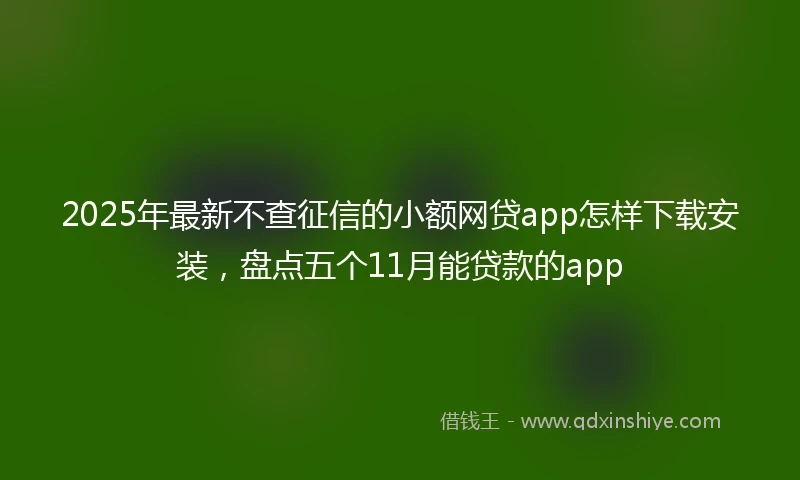 2025年最新不查征信的小额网贷app怎样下载安装，盘点五个11月能贷款的app