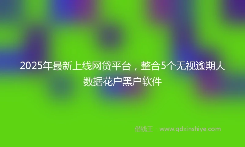 2025年最新上线网贷平台，整合5个无视逾期大数据花户黑户软件
