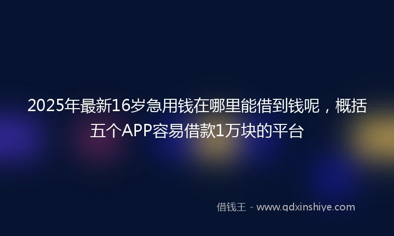 2025年最新16岁急用钱在哪里能借到钱呢，概括五个APP容易借款1万块的平台