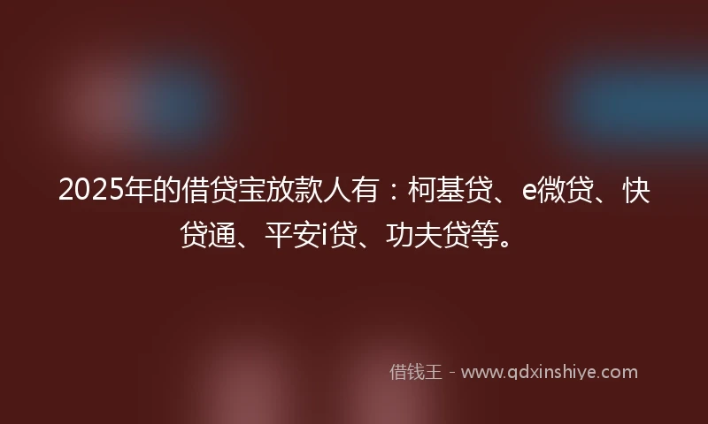 2025年的借贷宝放款人有：柯基贷、e微贷、快贷通、平安i贷、功夫贷等。