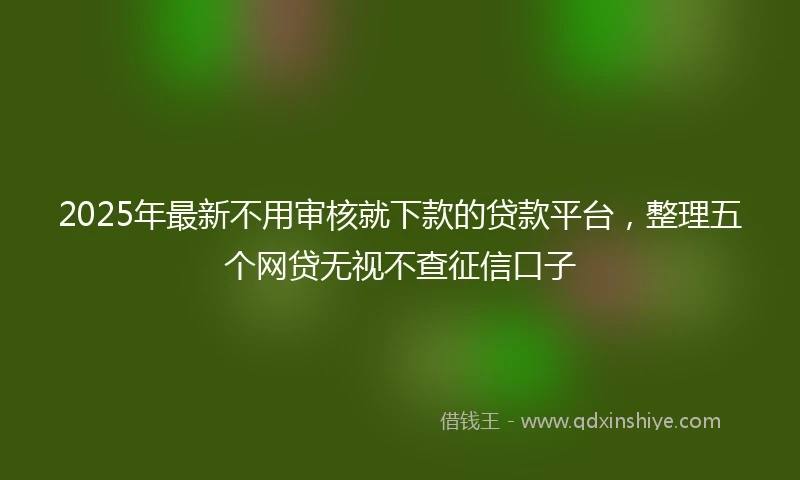 2025年最新不用审核就下款的贷款平台，整理五个网贷无视不查征信口子