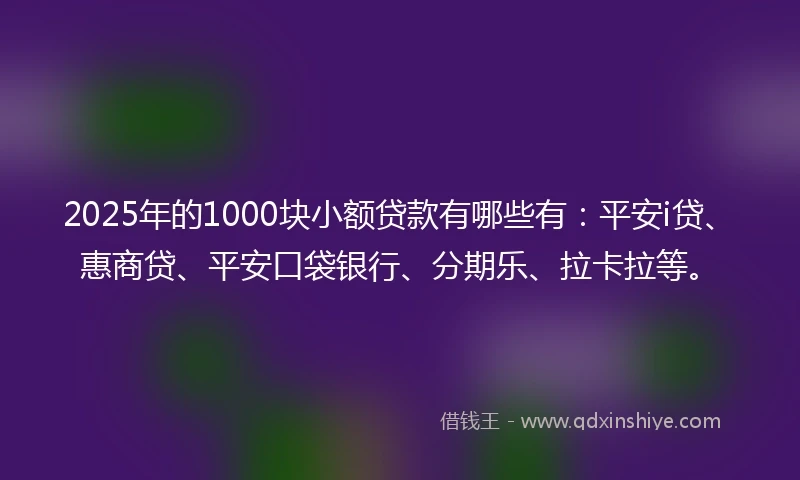 2025年的1000块小额贷款有哪些有：平安i贷、惠商贷、平安口袋银行、分期乐、拉卡拉等。