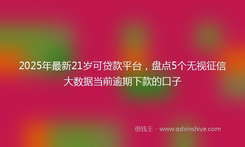 2025年最新21岁可贷款平台，盘点5个无视征信大数据当前逾期下款的口子