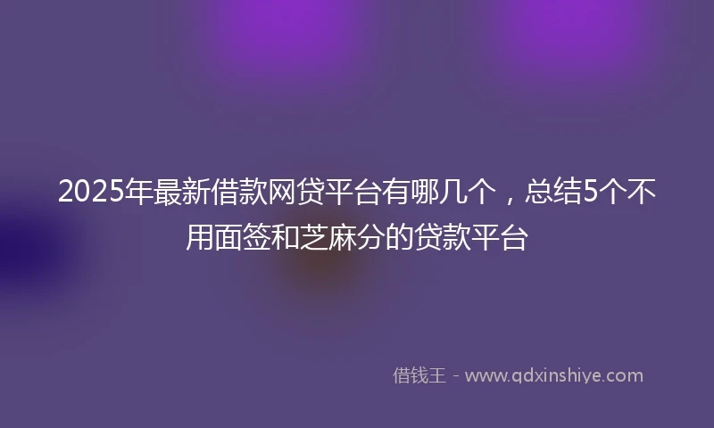 2025年最新借款网贷平台有哪几个，总结5个不用面签和芝麻分的贷款平台