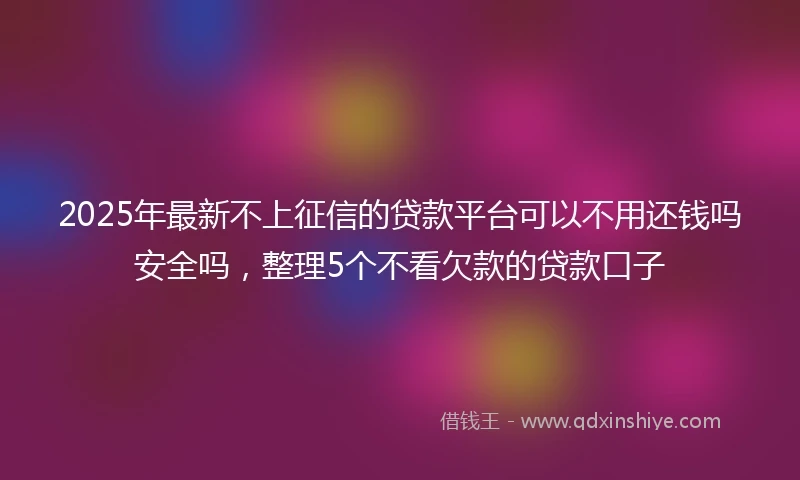 2025年最新不上征信的贷款平台可以不用还钱吗安全吗，整理5个不看欠款的贷款口子