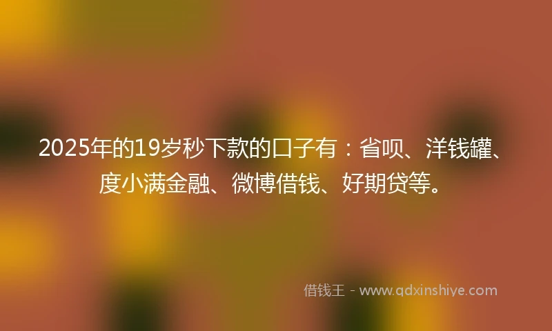 2025年的19岁秒下款的口子有：省呗、洋钱罐、度小满金融、微博借钱、好期贷等。