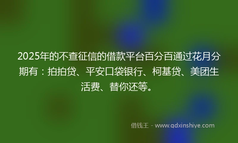 2025年的不查征信的借款平台百分百通过花月分期有：拍拍贷、平安口袋银行、柯基贷、美团生活费、替你还等。