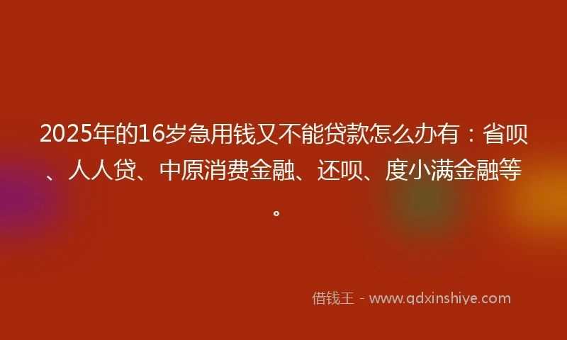 2025年的16岁急用钱又不能贷款怎么办有：省呗、人人贷、中原消费金融、还呗、度小满金融等。