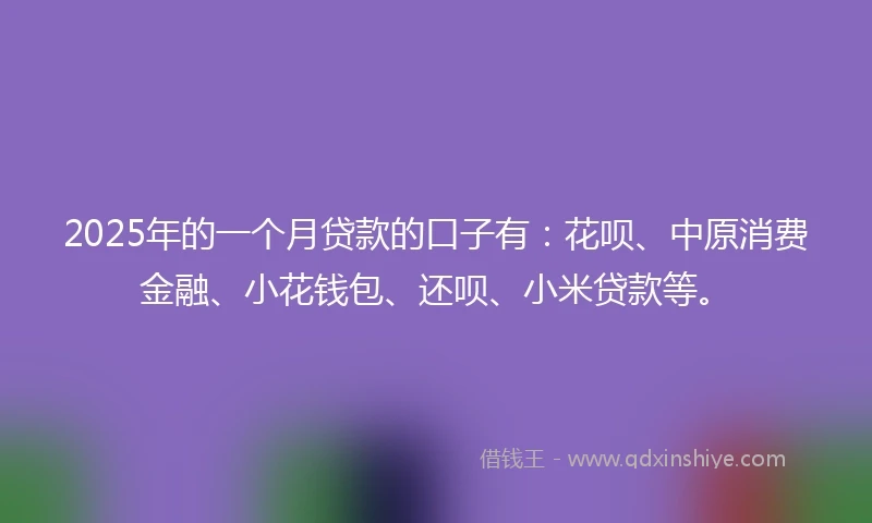 2025年的一个月贷款的口子有：花呗、中原消费金融、小花钱包、还呗、小米贷款等。