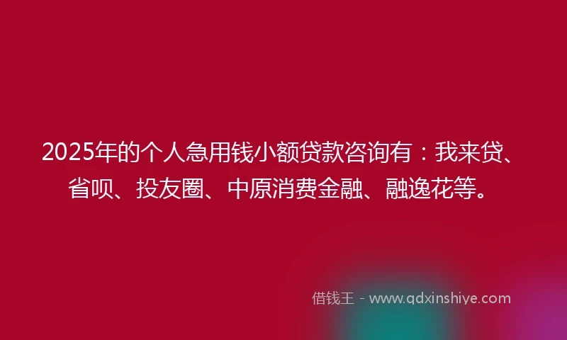 2025年的个人急用钱小额贷款咨询有：我来贷、省呗、投友圈、中原消费金融、融逸花等。