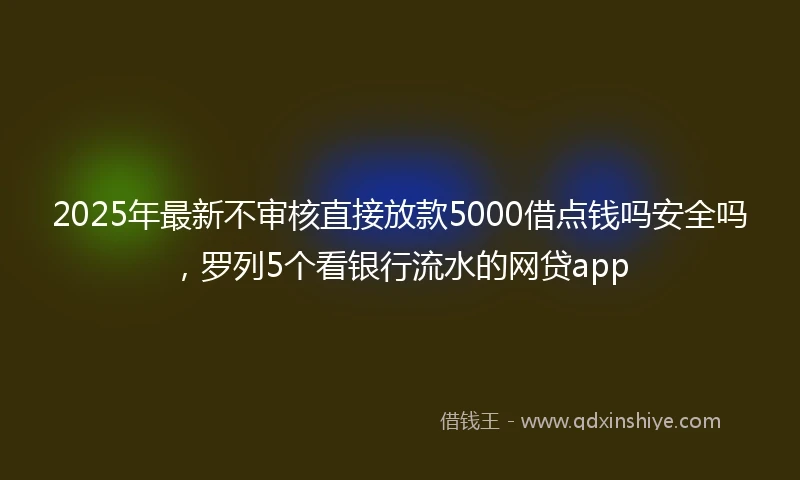 2025年最新不审核直接放款5000借点钱吗安全吗，罗列5个看银行流水的网贷app