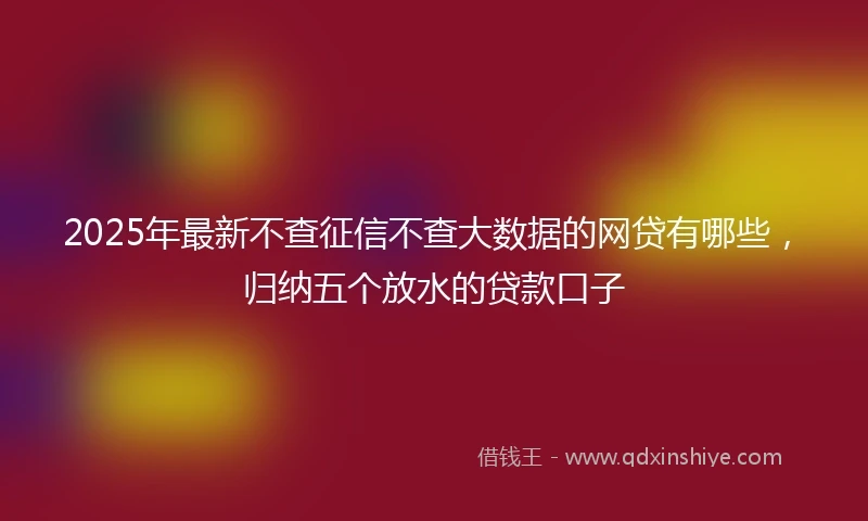 2025年最新不查征信不查大数据的网贷有哪些，归纳五个放水的贷款口子