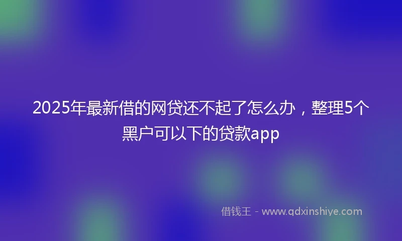2025年最新借的网贷还不起了怎么办，整理5个黑户可以下的贷款app