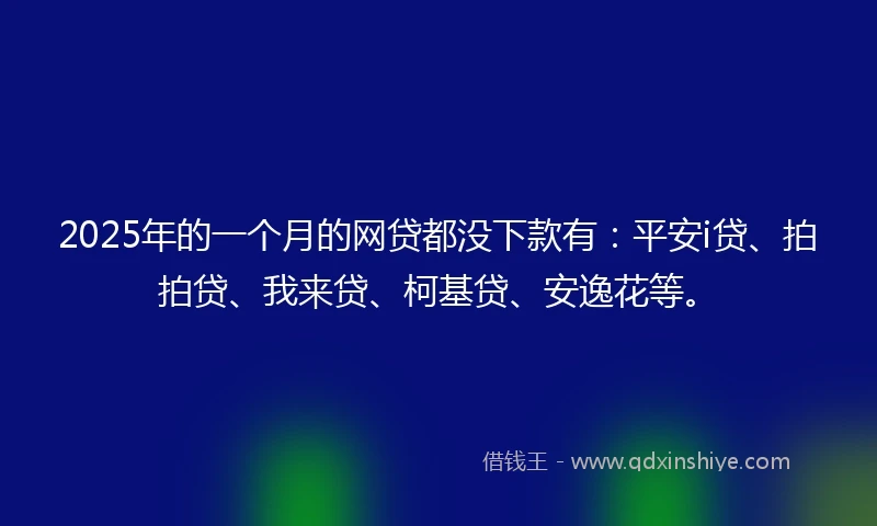 2025年的一个月的网贷都没下款有：平安i贷、拍拍贷、我来贷、柯基贷、安逸花等。