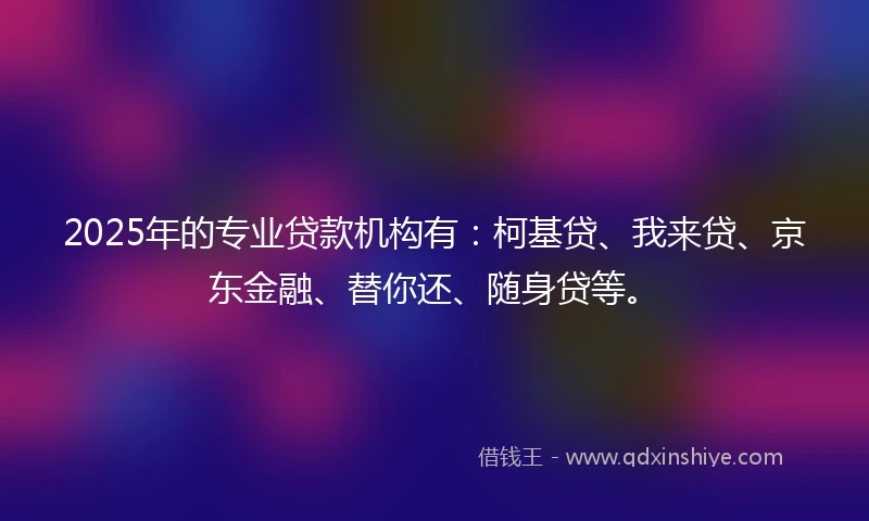 2025年的专业贷款机构有：柯基贷、我来贷、京东金融、替你还、随身贷等。
