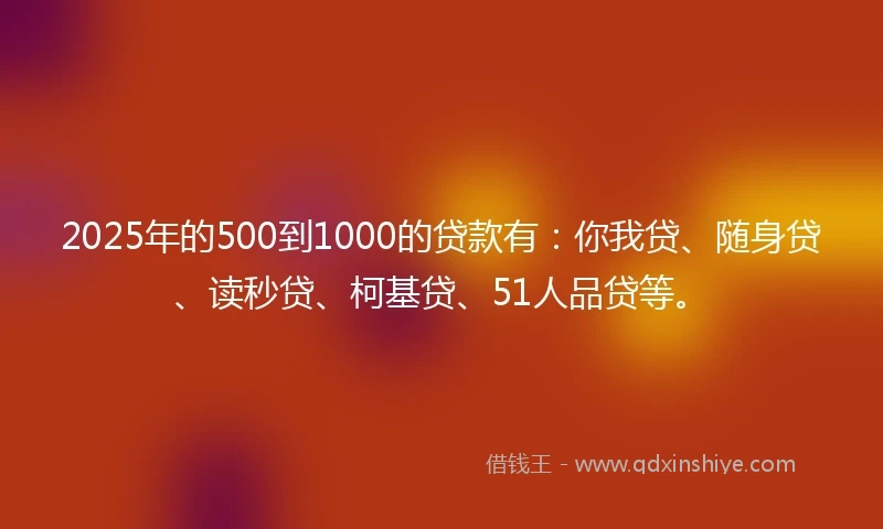 2025年的500到1000的贷款有：你我贷、随身贷、读秒贷、柯基贷、51人品贷等。