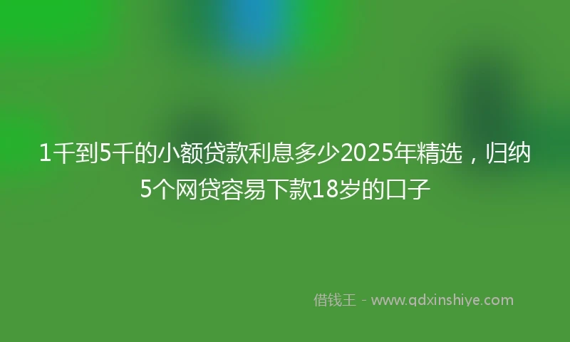 1千到5千的小额贷款利息多少2025年精选，归纳5个网贷容易下款18岁的口子
