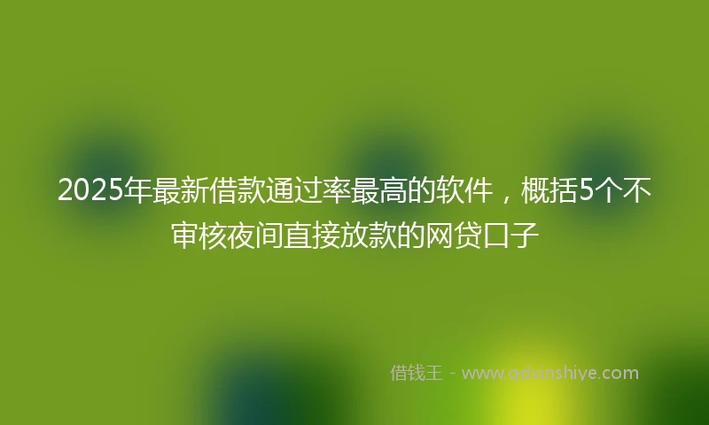 2025年最新借款通过率最高的软件，概括5个不审核夜间直接放款的网贷口子