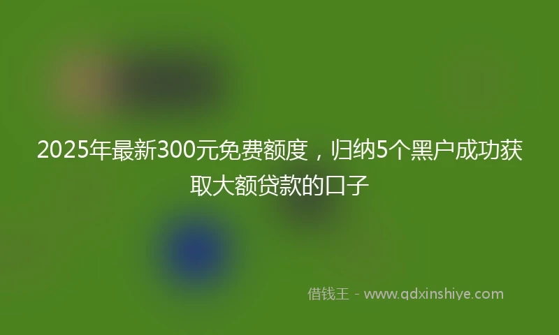 2025年最新300元免费额度，归纳5个黑户成功获取大额贷款的口子