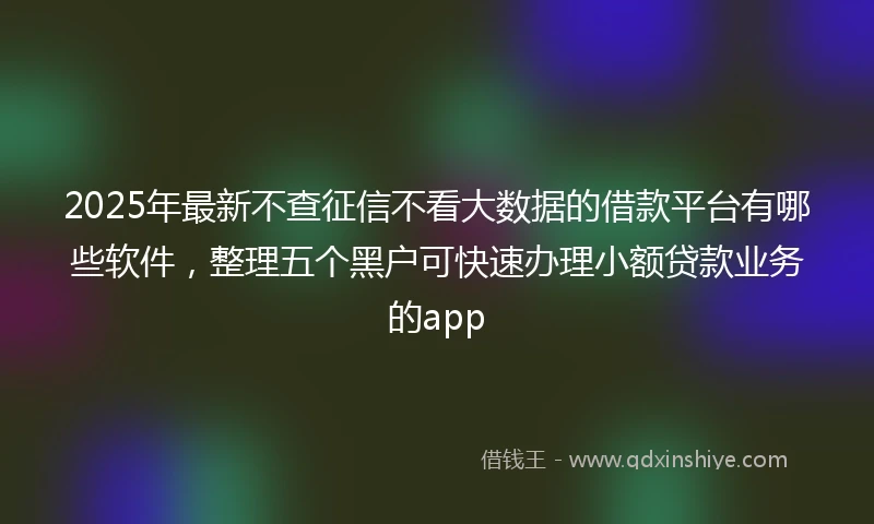 2025年最新不查征信不看大数据的借款平台有哪些软件，整理五个黑户可快速办理小额贷款业务的app