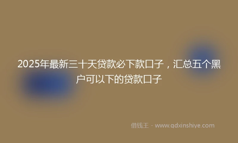2025年最新三十天贷款必下款口子，汇总五个黑户可以下的贷款口子