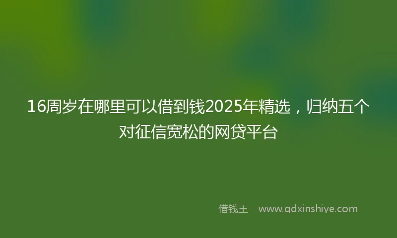16周岁在哪里可以借到钱2025年精选，归纳五个对征信宽松的网贷平台