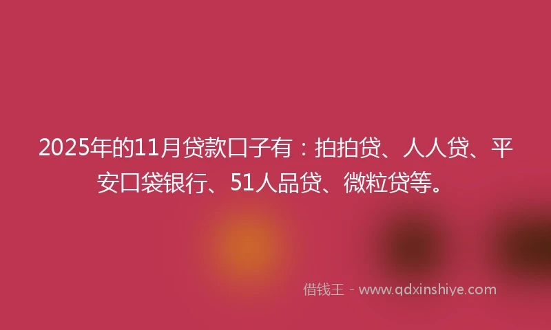 2025年的11月贷款口子有：拍拍贷、人人贷、平安口袋银行、51人品贷、微粒贷等。