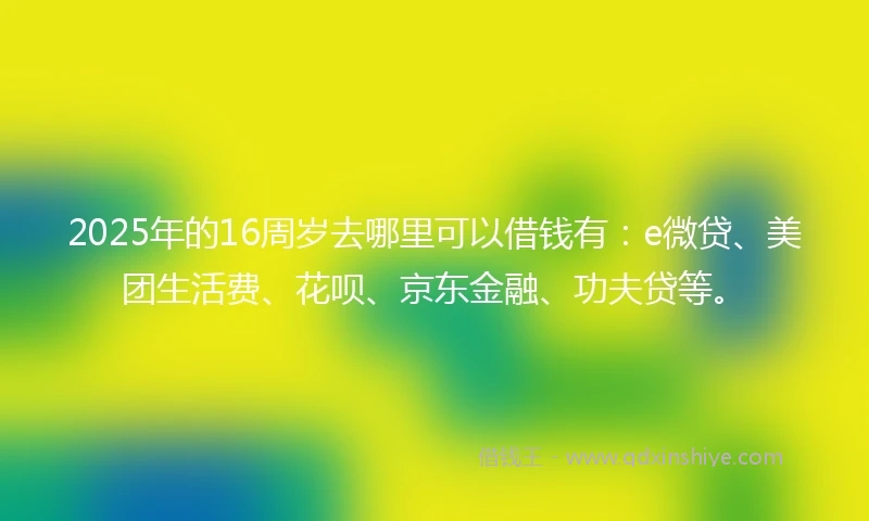 2025年的16周岁去哪里可以借钱有：e微贷、美团生活费、花呗、京东金融、功夫贷等。