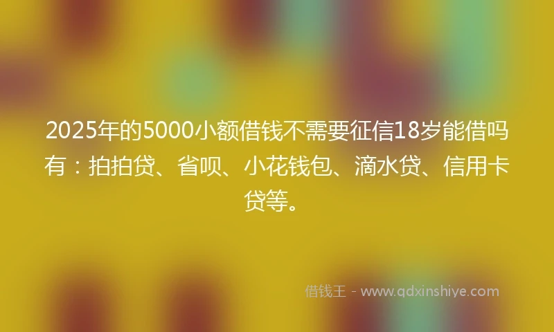 2025年的5000小额借钱不需要征信18岁能借吗有：拍拍贷、省呗、小花钱包、滴水贷、信用卡贷等。
