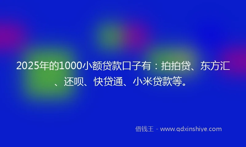 2025年的1000小额贷款口子有：拍拍贷、东方汇、还呗、快贷通、小米贷款等。