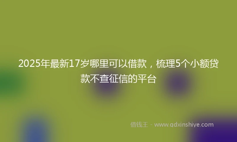 2025年最新17岁哪里可以借款，梳理5个小额贷款不查征信的平台