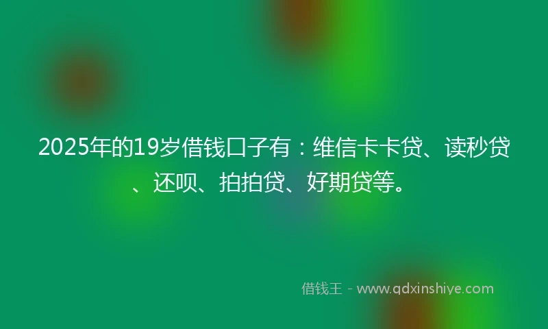 2025年的19岁借钱口子有：维信卡卡贷、读秒贷、还呗、拍拍贷、好期贷等。