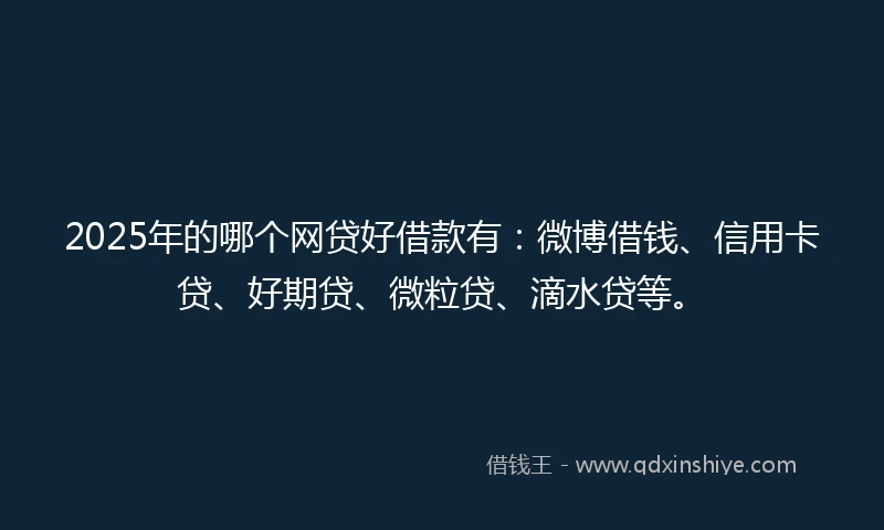 2025年的哪个网贷好借款有：微博借钱、信用卡贷、好期贷、微粒贷、滴水贷等。
