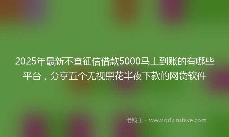 2025年最新不查征信借款5000马上到账的有哪些平台，分享五个无视黑花半夜下款的网贷软件